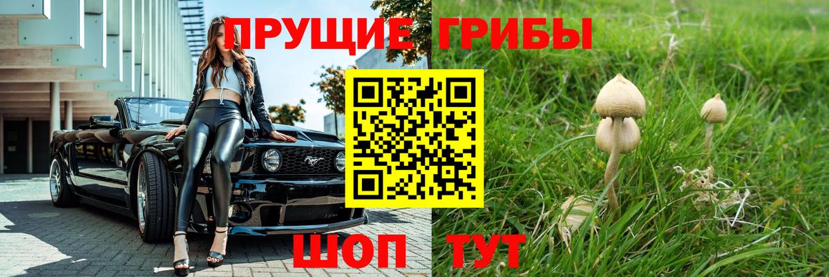 Псилоцибиновые грибы GOLDEN TEACHER Калининград